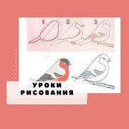 Рисуем поэтапно с детьми зимующих птиц