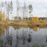 Рисунок "Озеро Чистое" на конкурс "Фотоконкурс “Краски Осени - 2019”"