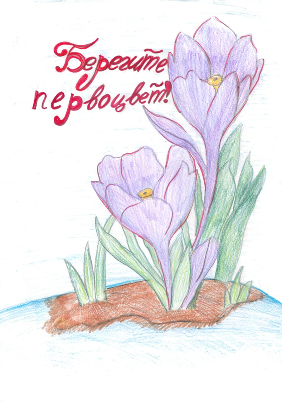 Детский рисунок - Первоцветы