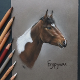 Рисунок "Бурушка"