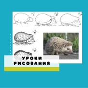 Рисуем поэтапно животных, которые просыпаются весной после зимней спячки