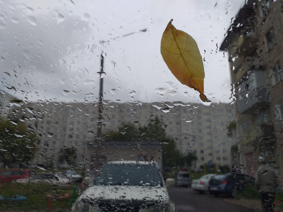 Детский рисунок - Осень