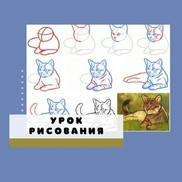 Как ребенку нарисовать кошек и собак. Пошаговые инструкции