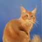 Кот Кельвин, Глафира Китик, 15 лет