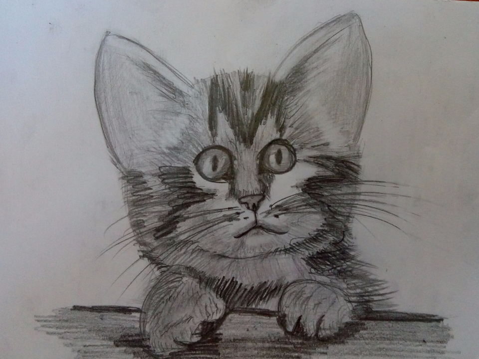 Детский рисунок - Котик