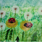 божьи коровки, Карина Сеитпарикова, 7 лет