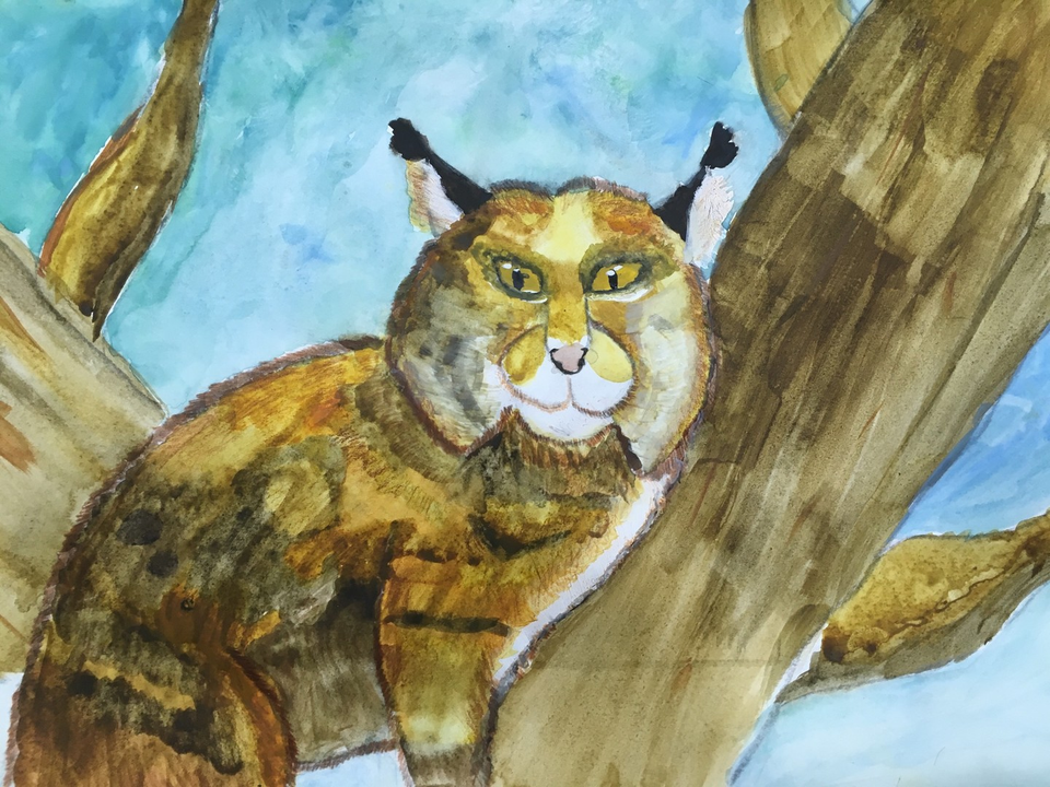 Детский рисунок - Дикий кот