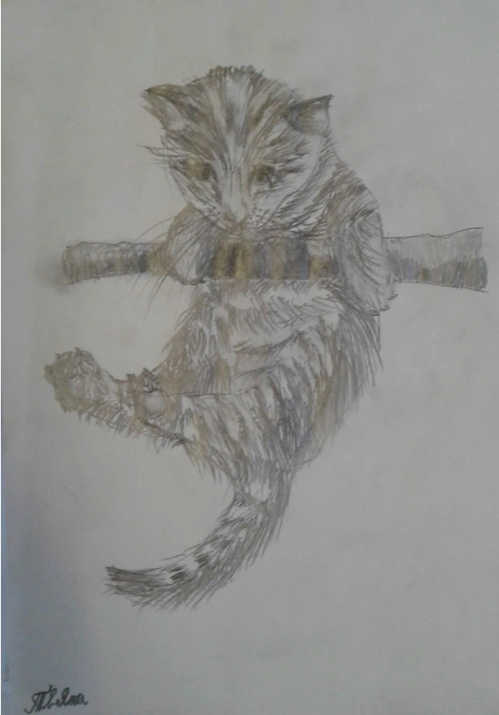 Детский рисунок - Котик