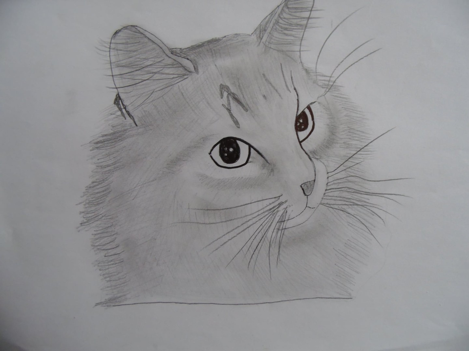 Детский рисунок - Кошечка