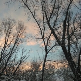 Альбина Соловьева