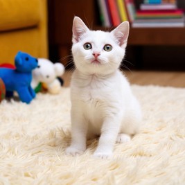 Анна Орешкина